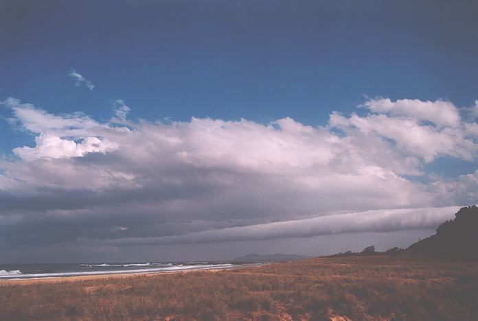 cumulus mediocris : Hallidays Point, NSW   3 October 2001
