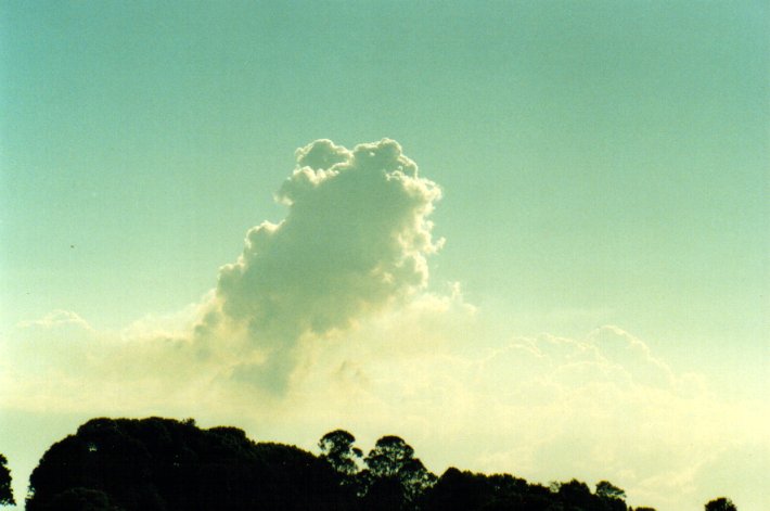 cumulus pyrocumulus : McLeans Ridges, NSW   5 October 2001