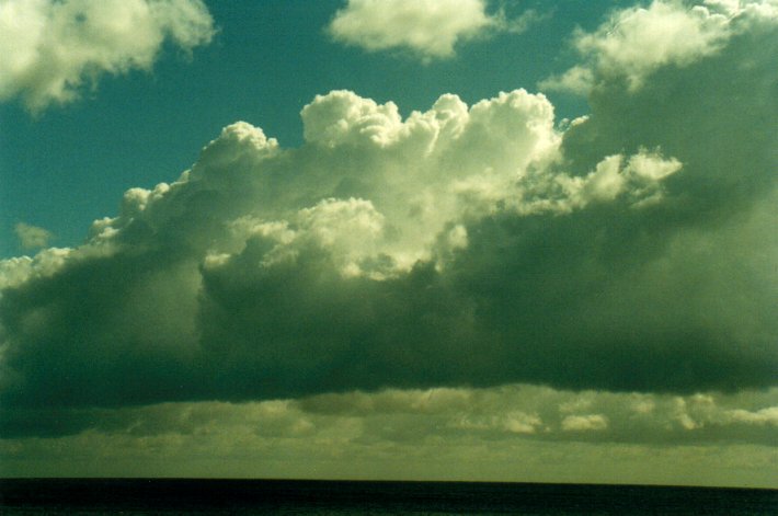 cumulus congestus : Gold Coast, QLD   20 October 2001