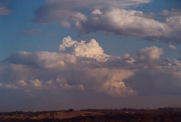 cumulus mediocris : Rooty Hill, NSW   24 October 2001