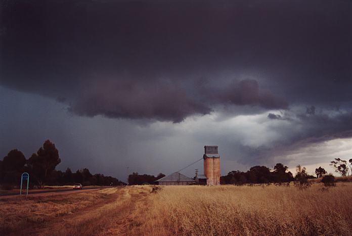 cumulonimbus thunderstorm_base : E of Condobilin, NSW   6 November 2001