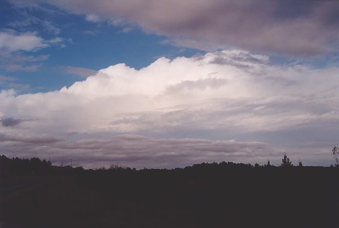 stratus stratus_cloud : Booral, NSW   11 November 2001