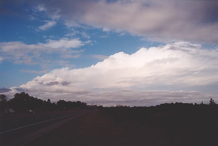 stratus stratus_cloud : Booral, NSW   11 November 2001