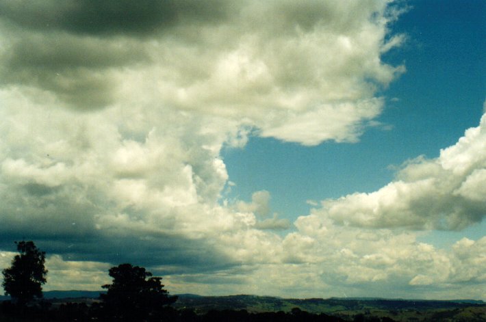 cumulus congestus : McLeans Ridges, NSW   11 November 2001