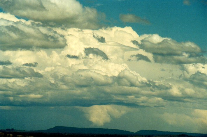 cumulonimbus thunderstorm_base : Parrots Nest, NSW   11 November 2001