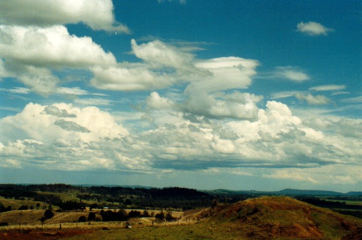 cumulus congestus : Parrots Nest, NSW   11 November 2001