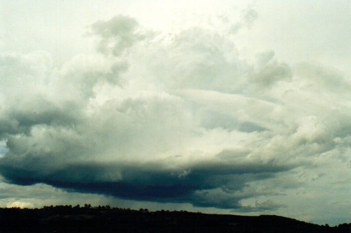 cumulus congestus : near Lismore, NSW   11 November 2001