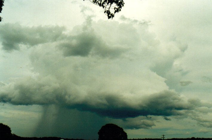raincascade precipitation_cascade : near Lismore, NSW   11 November 2001