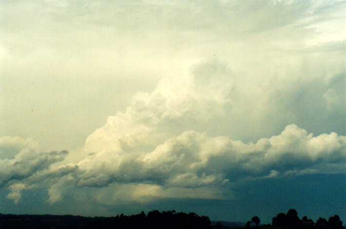 cumulonimbus supercell_thunderstorm : McLeans Ridges, NSW   11 November 2001