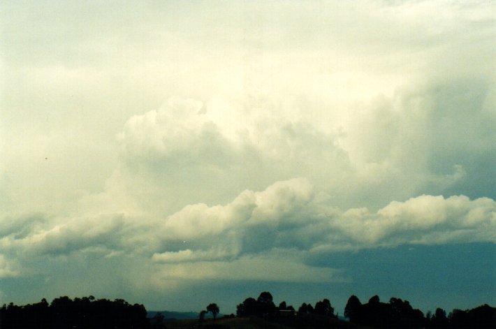 cumulonimbus supercell_thunderstorm : McLeans Ridges, NSW   11 November 2001