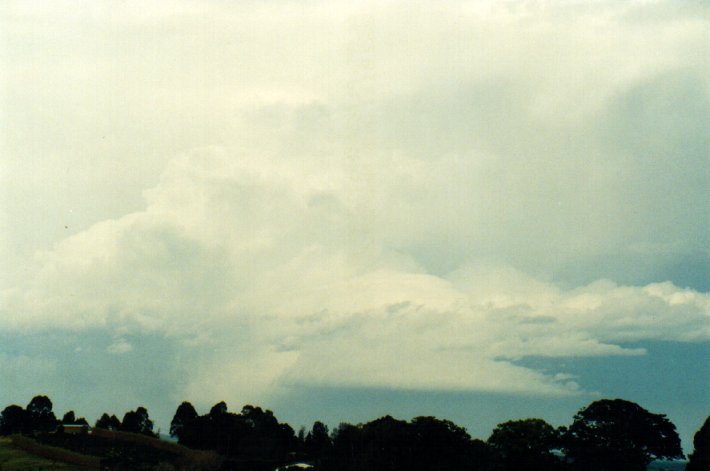 inflowband thunderstorm_inflow_band : McLeans Ridges, NSW   11 November 2001