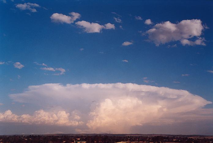 contributions received : Singelton, NSW<BR>Photo by Geoff Thurtell   18 November 2001