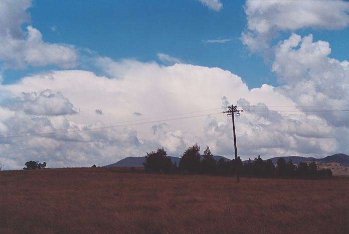 thunderstorm cumulonimbus_incus : Mudgee, NSW   18 November 2001