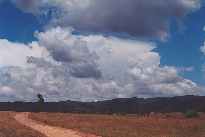cumulus mediocris : Mudgee, NSW   18 November 2001