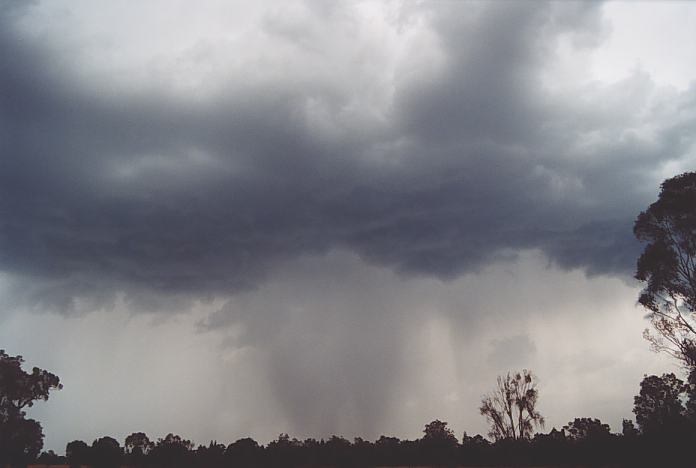 raincascade precipitation_cascade : NE of Gulgong, NSW   18 November 2001