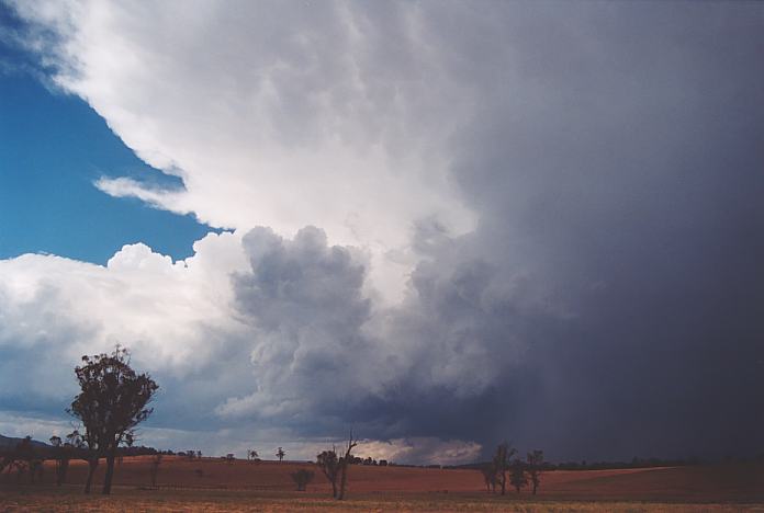 anvil thunderstorm_anvils : Scone, NSW   18 November 2001