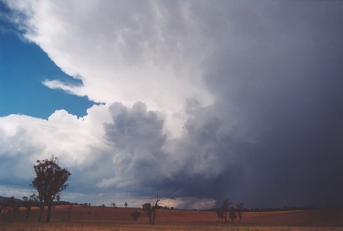 raincascade precipitation_cascade : Scone, NSW   18 November 2001