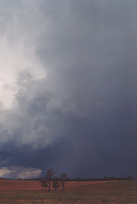 cumulonimbus thunderstorm_base : Scone, NSW   18 November 2001