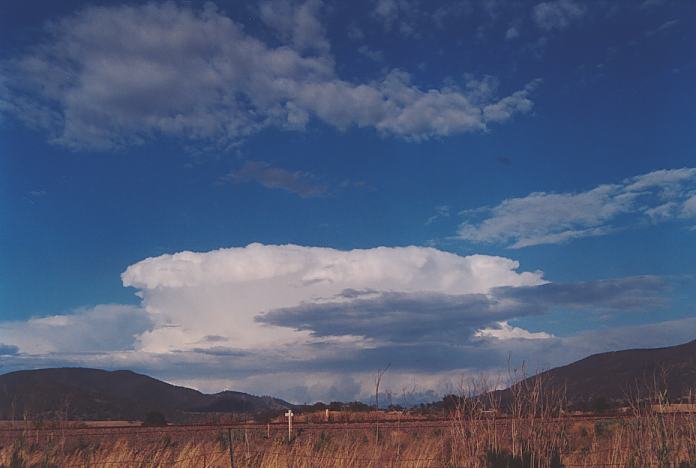 thunderstorm cumulonimbus_incus : Muswellbrook, NSW   18 November 2001