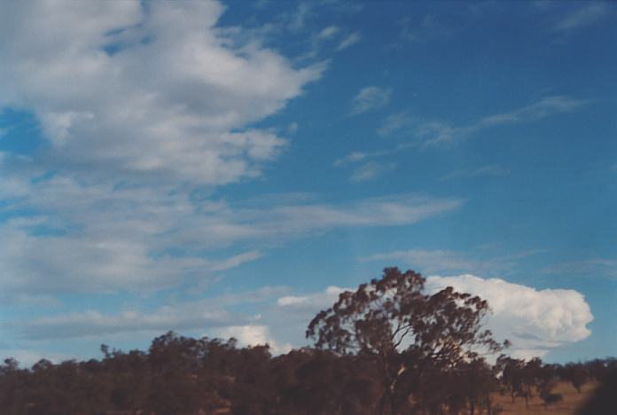 cumulonimbus supercell_thunderstorm : Muswellbrook, NSW   18 November 2001