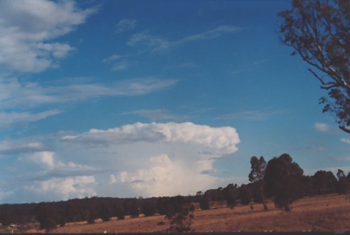 anvil thunderstorm_anvils : Muswellbrook, NSW   18 November 2001