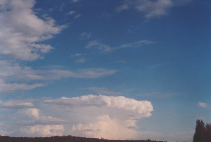 anvil thunderstorm_anvils : E of Muswellbrook, NSW   18 November 2001