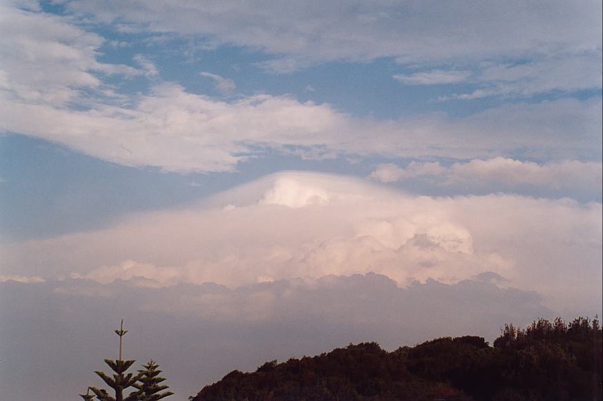 contributions received : Hallidays Beach, NSW<BR>Photo by Geoff Thurtell   24 November 2001