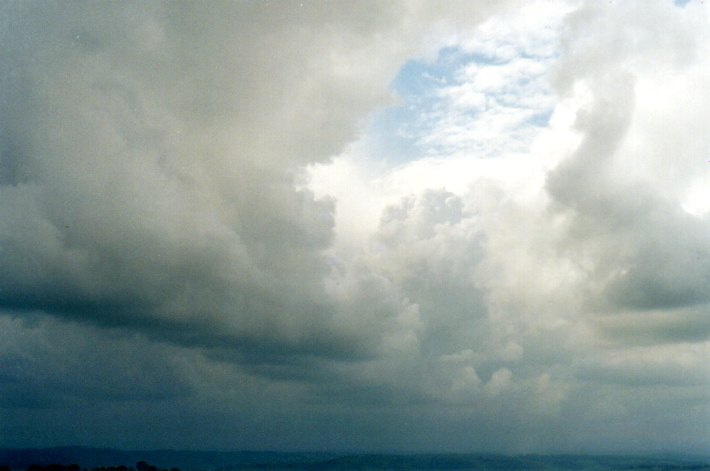 cumulus congestus : McLeans Ridges, NSW   27 November 2001