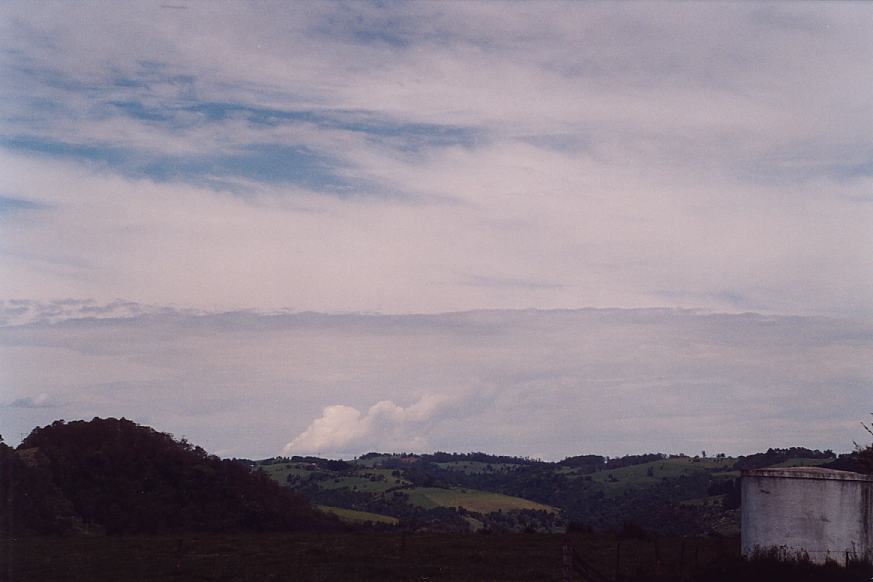 contributions received : Dorrigo, NSW<BR>Photo by Geoff Thurtell   30 November 2001