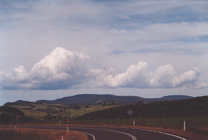 cumulus mediocris : Dorrigo, NSW   30 November 2001