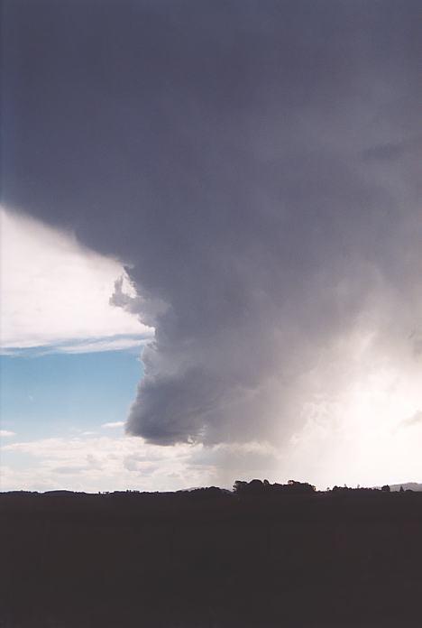 raincascade precipitation_cascade : Dorrigo, NSW   30 November 2001
