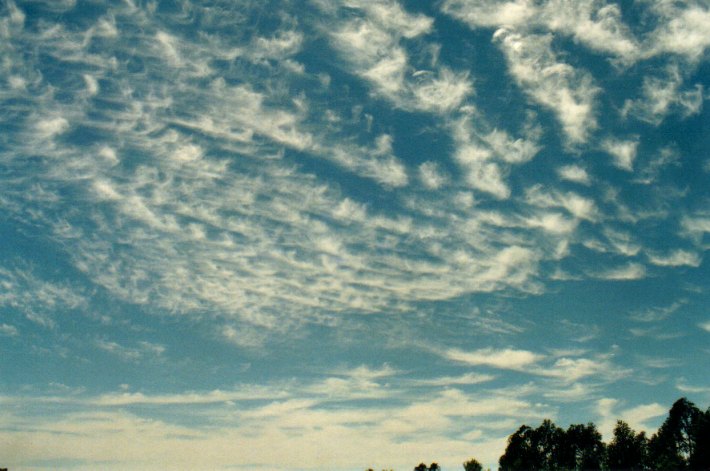 cirrus cirrus_cloud : McLeans Ridges, NSW   30 November 2001