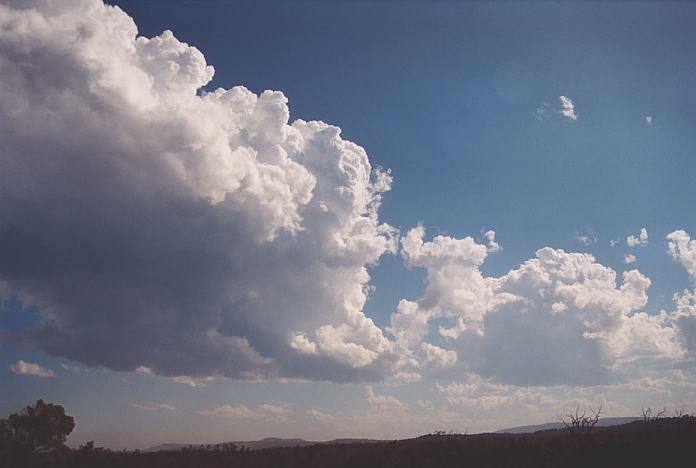 cumulus congestus : Corindi Beach, NSW   1 December 2001