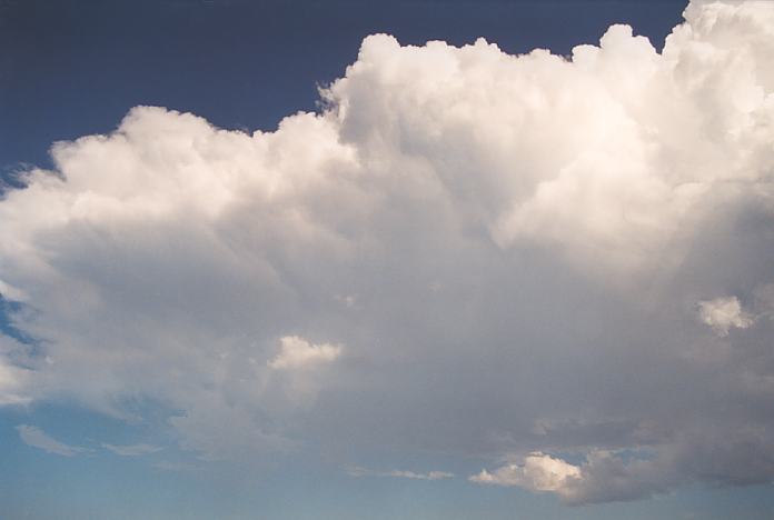 cumulonimbus thunderstorm_base : Corindi Beach, NSW   1 December 2001