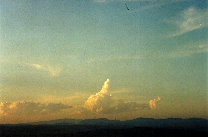 cirrus cirrus_cloud : McLeans Ridges, NSW   1 December 2001