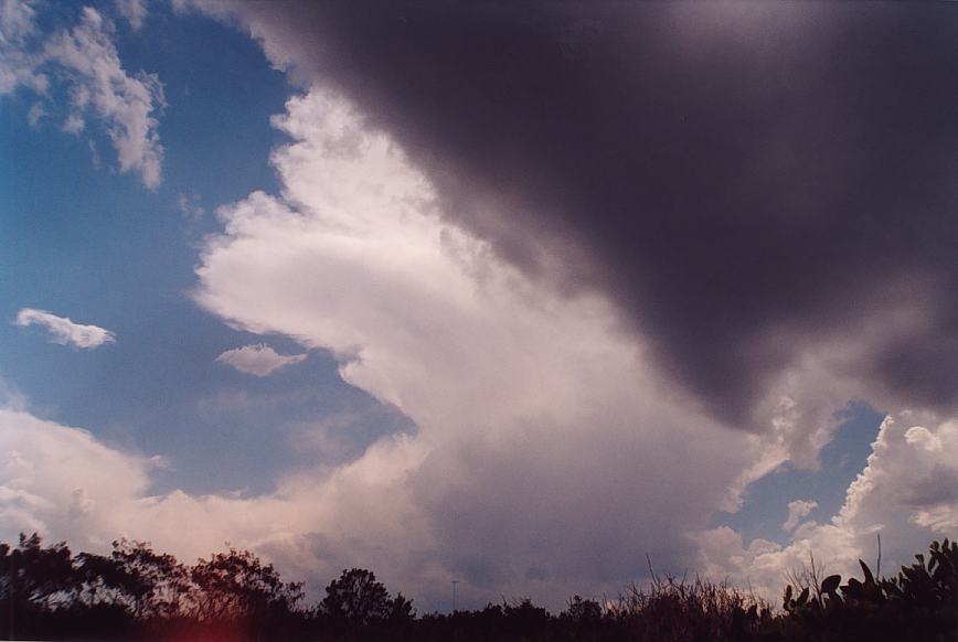 contributions received : North Beach, NSW<BR>Photo by Geoff Thurtell   4 December 2001