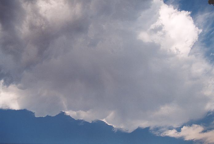 updraft thunderstorm_updrafts : near Urunga, NSW   4 December 2001