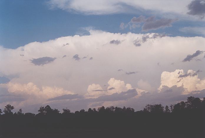 thunderstorm cumulonimbus_incus : Warrell Creek, NSW   4 December 2001