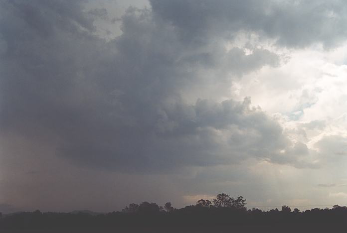 wallcloud thunderstorm_wall_cloud : Warrell Creek, NSW   4 December 2001