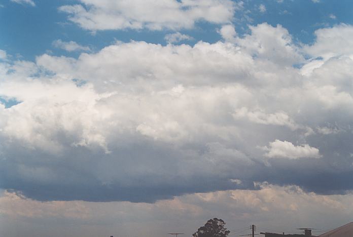 cumulonimbus thunderstorm_base : Schofields, NSW   7 December 2001