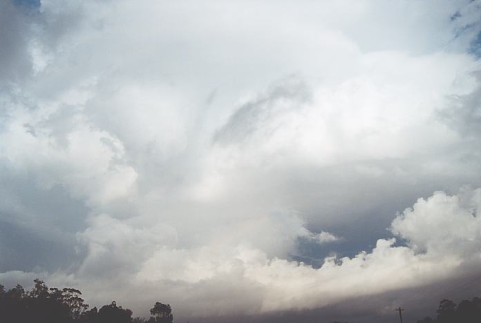 cumulonimbus thunderstorm_base : Razorback Mountain near Picton, NSW   18 December 2001