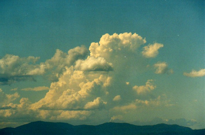 cumulus congestus : McLeans Ridges, NSW   19 December 2001