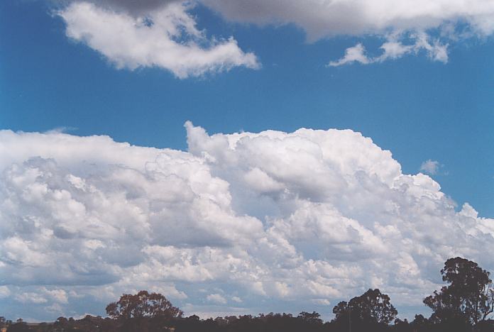 cumulus mediocris : Walcha, NSW   22 December 2001
