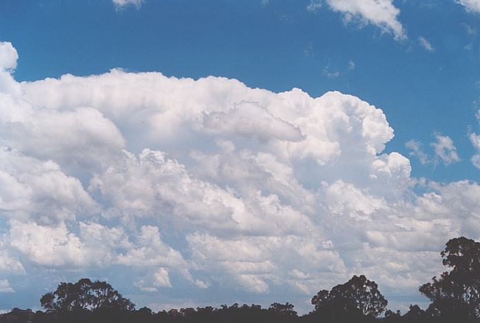 thunderstorm cumulonimbus_incus : Walcha, NSW   22 December 2001