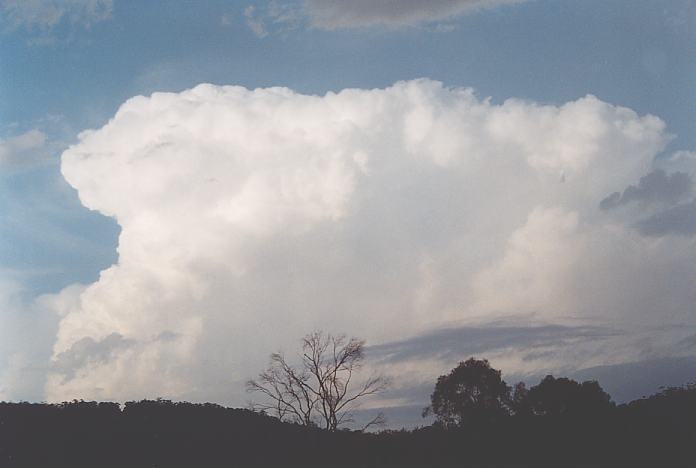 thunderstorm cumulonimbus_incus : S of Kew, NSW   22 December 2001