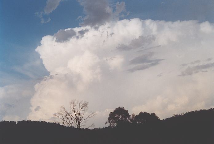 anvil thunderstorm_anvils : S of Kew, NSW   22 December 2001