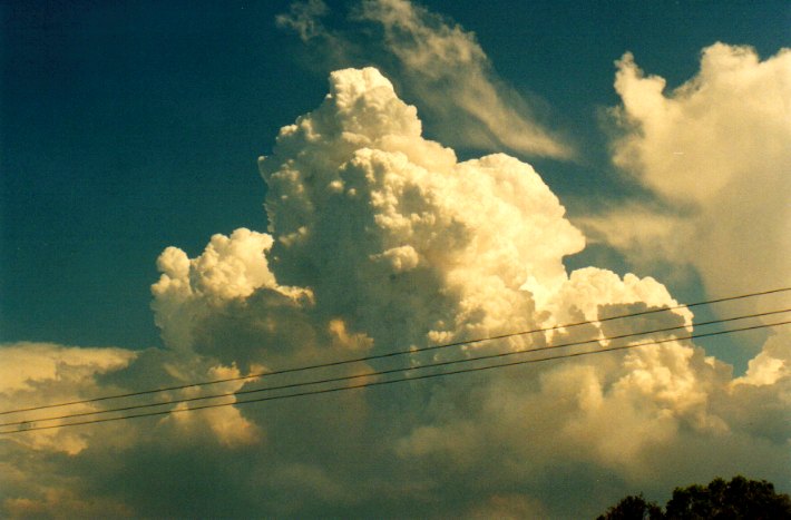 updraft thunderstorm_updrafts : Woodburn, NSW   22 December 2001