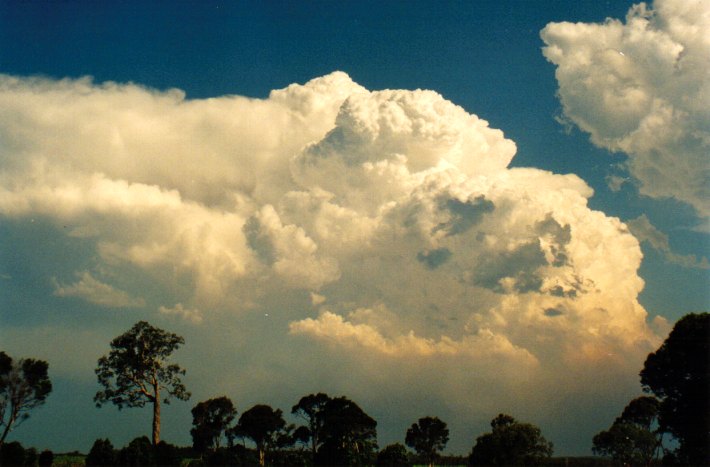updraft thunderstorm_updrafts : Woodburn, NSW   22 December 2001