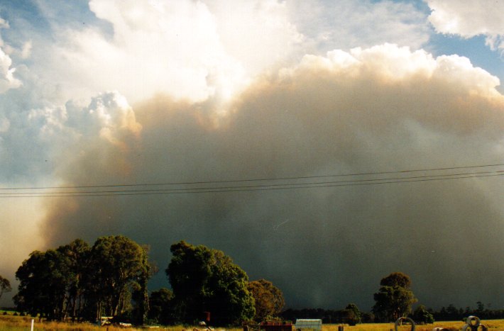 favourites michael_bath : Woodburn, NSW   22 December 2001