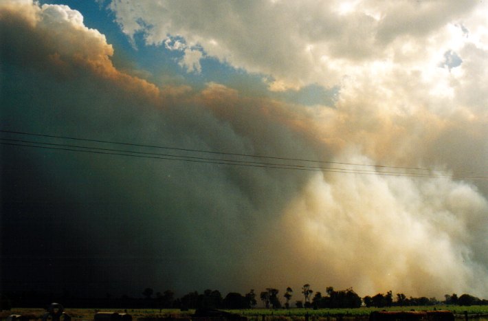 cumulus pyrocumulus : Woodburn, NSW   22 December 2001